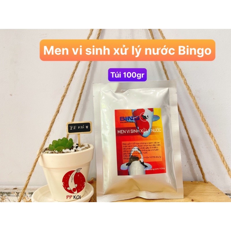 Combo Công thức Xử lý Nước Trong Vắt - Sạch Sẽ - Trong Vắt - Ít cặn dù 1 ngày cho ăn 5-6 lần