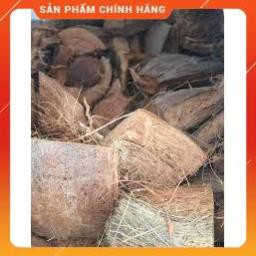 MIẾNG DỪA TRỒNG LAN ĐÃ QUA XỬ LÝ GÓI 450G