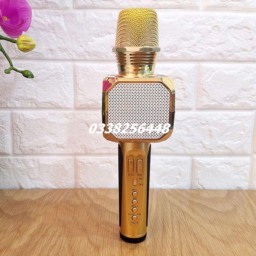 Micro Karaoke SD-10 kèm loa Bluetooth ((Ảnh chính chủ))