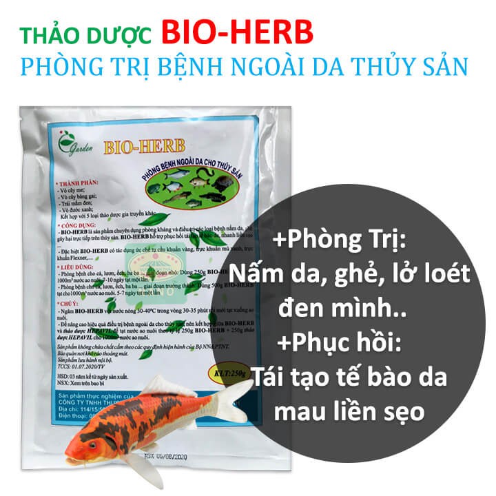 Chế phẩm Thảo Dược BIO-HERB -Xử lý ao nuôi Cá Koi, Ếch, Lươn bị bệnh nấm, lở loét ngoài da. Chiết xuất 100% Thiên Nhiên