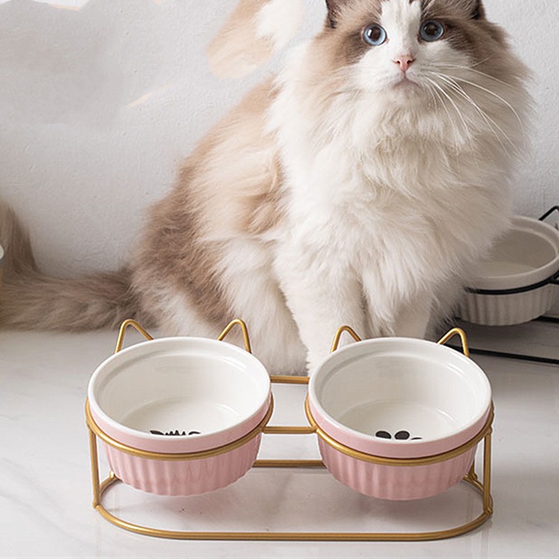 Bát ăn cho mèo chống gù lưng bằng sứ - chén ăn cho mèo