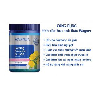 Hộp đựng Tinh Dầu Hoa Anh Thảo Wagner Evening Primrose Oil 1000 200viên