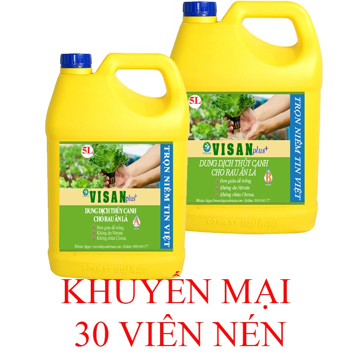 Dung dịch thủy canh rau ăn lá| hai can 5 lit pha 1000 lít 1200 ppm