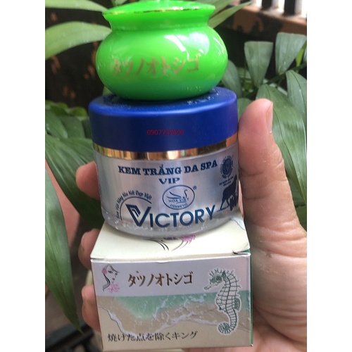 Combo bộ đôi ngày đêm kem nám cá ngựa lady osaka + Victory Hoa Việt Spa