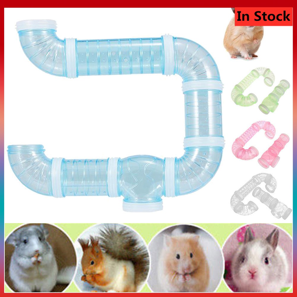Đường Hầm Trong Suốt Dành Cho Chuột Hamster Leo Trèo
