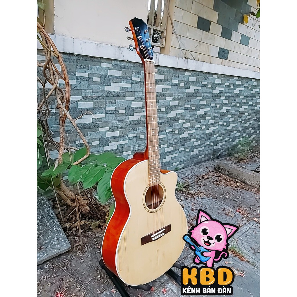 Đàn Guitar Acoustic có ty giá rẻ, Guitar aucostic sinh viên KBD17