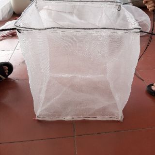 Lồng ươm cá chọi - lưới thái lan