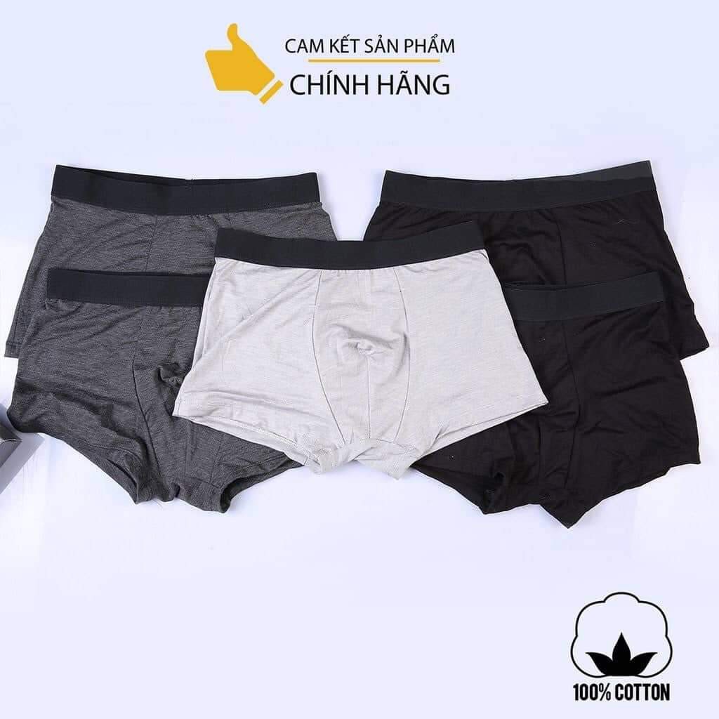 Combo 5 cái quần lót cotton THUTU MEN - quần lót nam