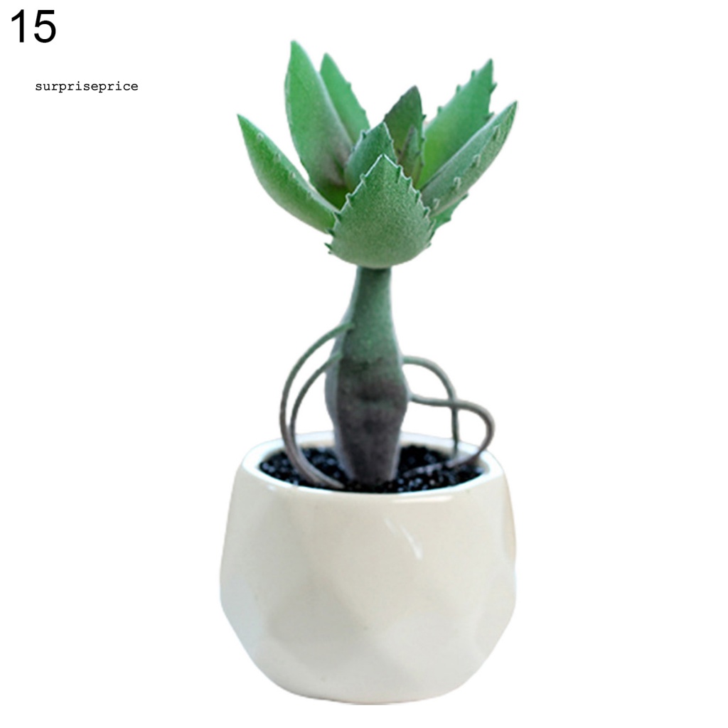 Chậu Cây Giả Mini Dùng Trang Trí Nhà Cửa