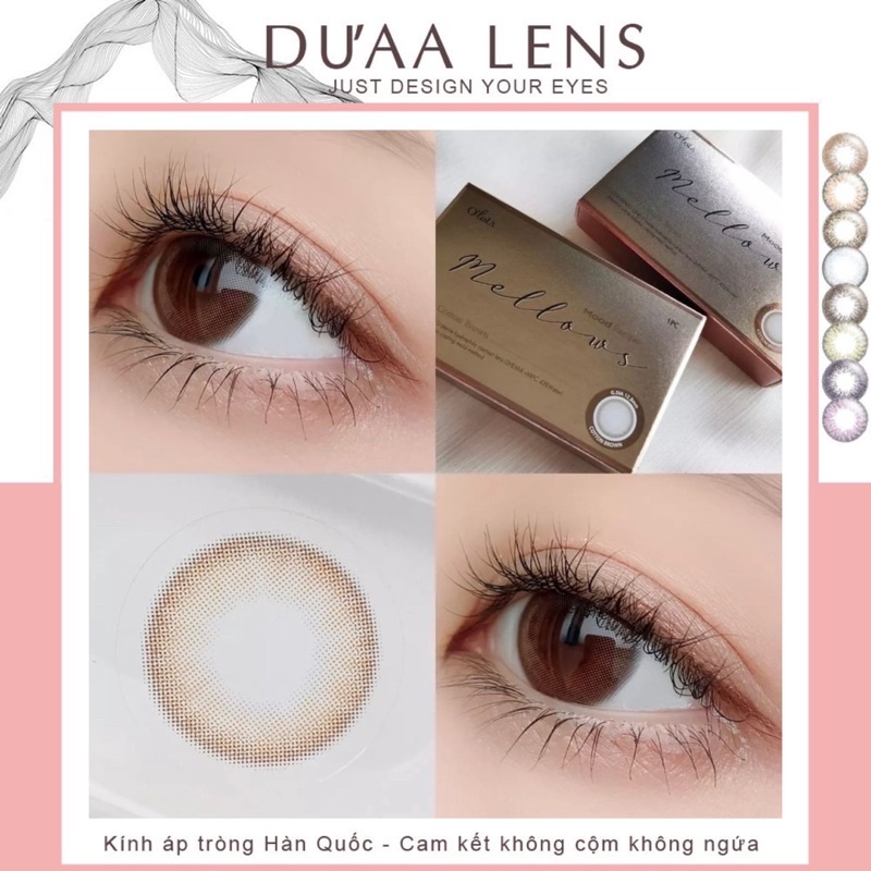 MẪU LENS TỰ NHIÊN ÁP TRÒNG - LENS HÀN QUỐC ( CÓ CẬN )