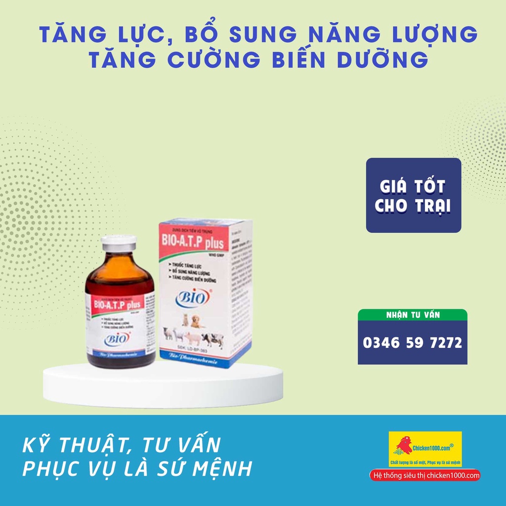 Thú Y Bio ATP Plus Tăng Lực, Chống Teo Cơ Cho Dê, Chó, Mèo, Heo, Bò