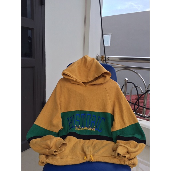 Áo hoodie nỉ tăm phối màu siêu xinh