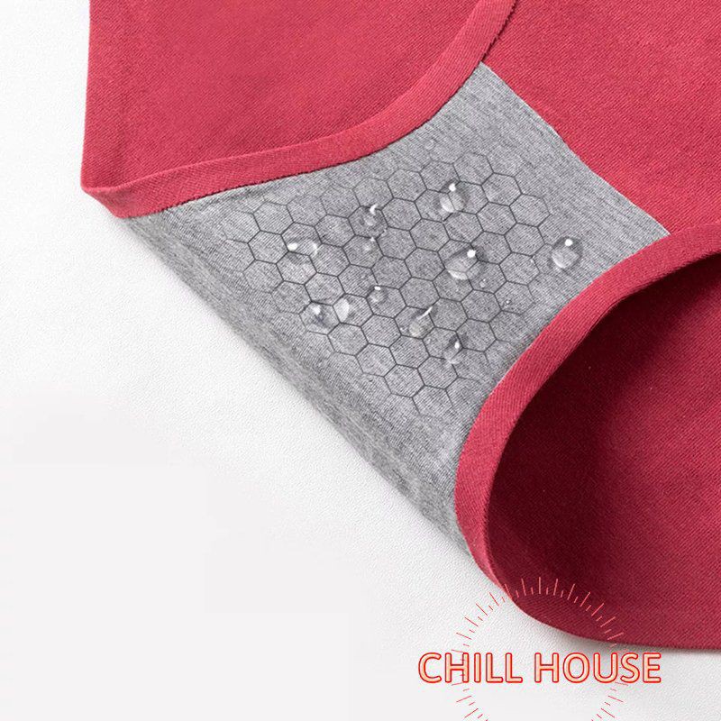 mẫu mới*Quần Lót Cotton 02 Cạp Cao Không Đường May Kháng Khuẩn Chống Viêm - CHILLHOUSE