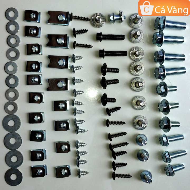 Ốc bắt bộ nhựa xe Anpha, RS
