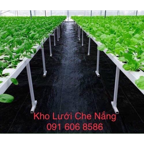 Bạt trải diệt cỏ, bạt phủ đất chống cỏ mọc làm sạch vườn, bạt phủ nông nghiệp hàng Thái Lan khổ 2m độ bền trên 10 năm