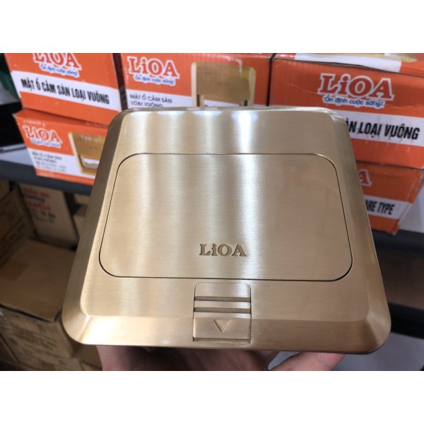Ổ cắm đôi 3 chấu âm sàn lioa LP001 + LC2U3