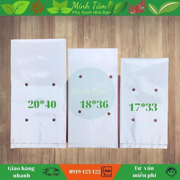 Lẻ Túi PE 40 x 20 cm Trắng Đen trồng Dưa Lưới, Dưa Chuột, Nhà Kính, Nhỏ Giọt - Bền 3 - 4 Vụ