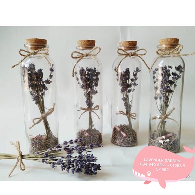 Lọ hoa lavender điều ước