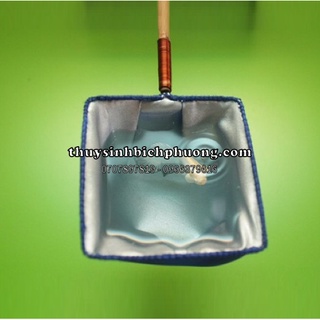 VỢT CÁ BETTA - VỢT VẢI KHÔNG THẤM NƯỚC