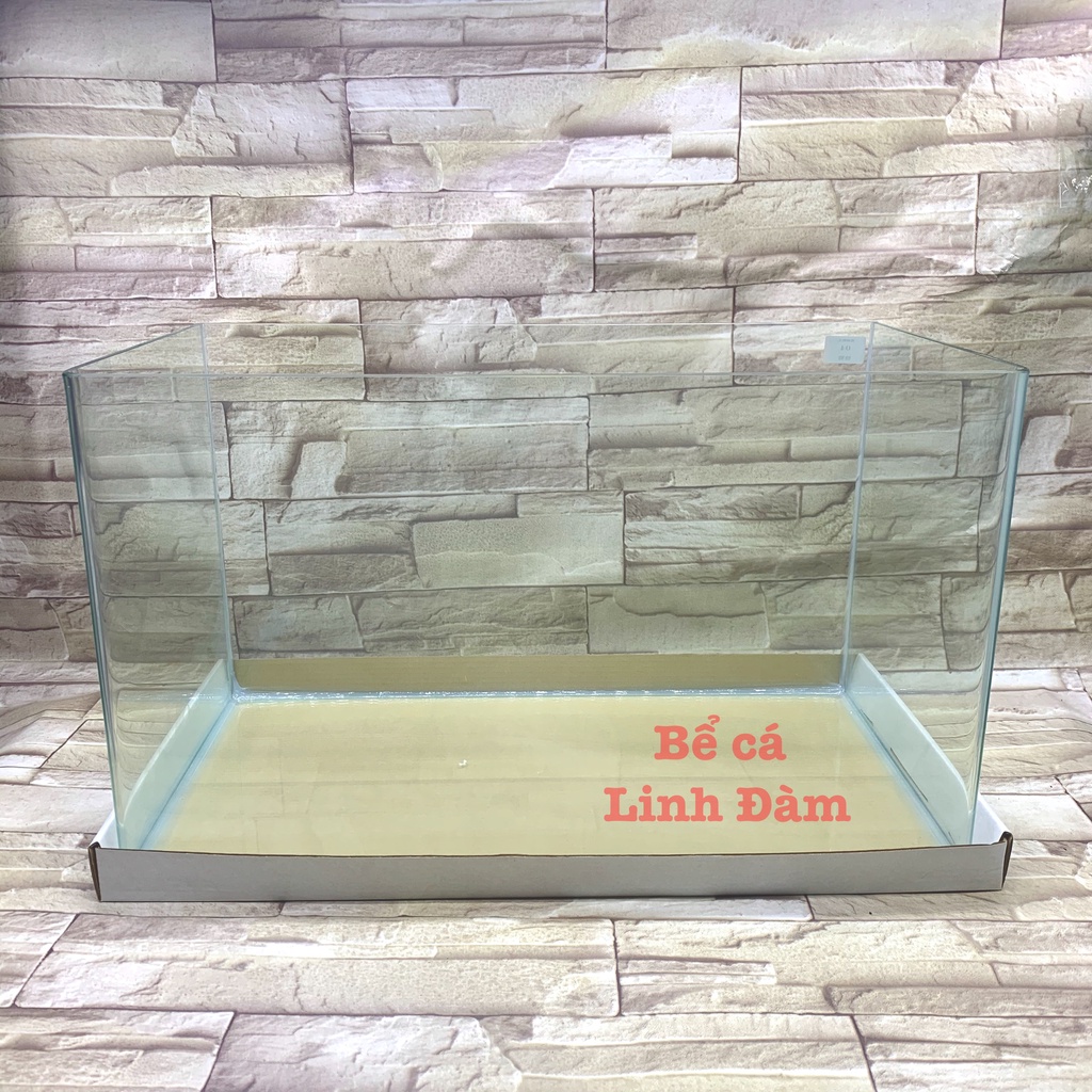 Bể Cá Chữ Nhật 50cm Kính Đúc Bo Góc Đẹp - Bể Cá Mini Dài 50cm