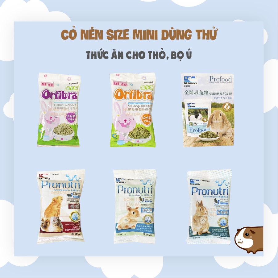 Cỏ Nén Pronutri, Orfibra, Profood Dùng Thử Cho Thỏ, Bọ Ú Bản Mini