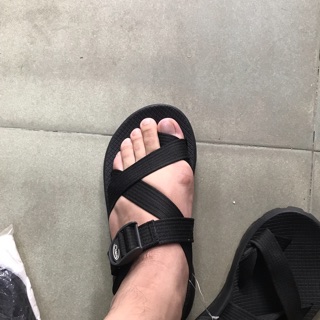 Chaco thằn lằn xỏ ngón