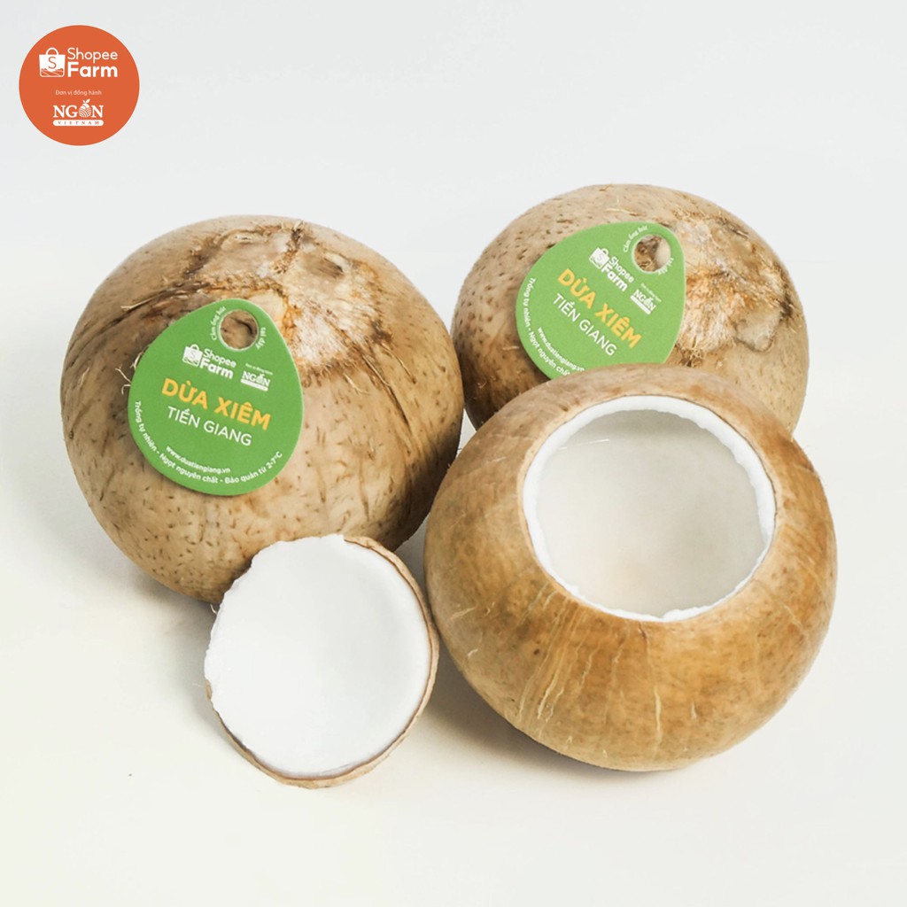 [HCM] Combo 2 Quả Dừa Diêm Tiền Giang Loại 1 Vị Ngọt Đậm Tươi Ngon - Shopeefarm | BigBuy360 - bigbuy360.vn
