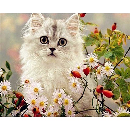Bộ Tranh Đính Đá 5D Họa Tiết Chú Mèo Dễ Thương Độc Đáo DIY Dùng Trang Trí Nhà Cửa