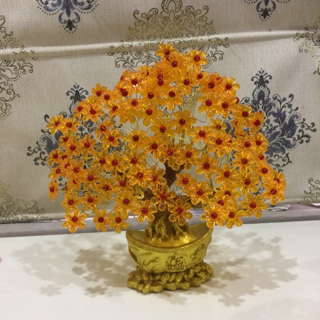 Cây tài lộc