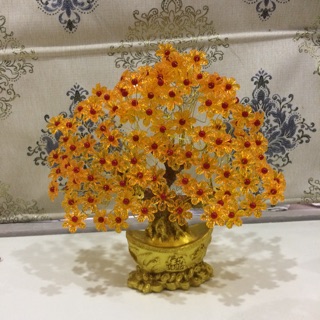 Cây tài lộc