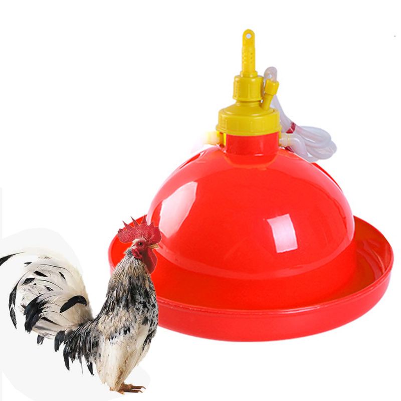 Máy Uống Nước Tự Động Cho Gà Vịt