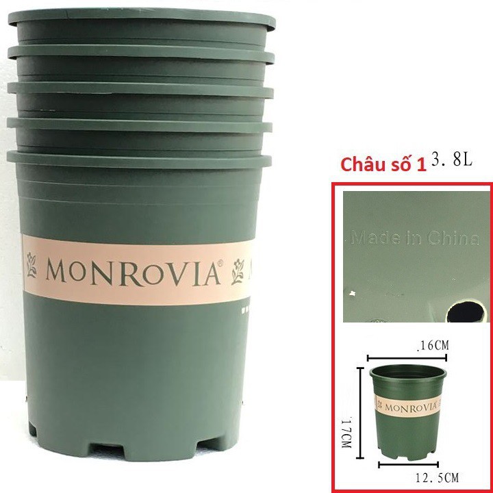 Phân phối Set 5 chậu nhựa trồng cây cao cấp Monrovia số 1 hàng chính hãng, nhập khẩu và phân phối trực tiếp.