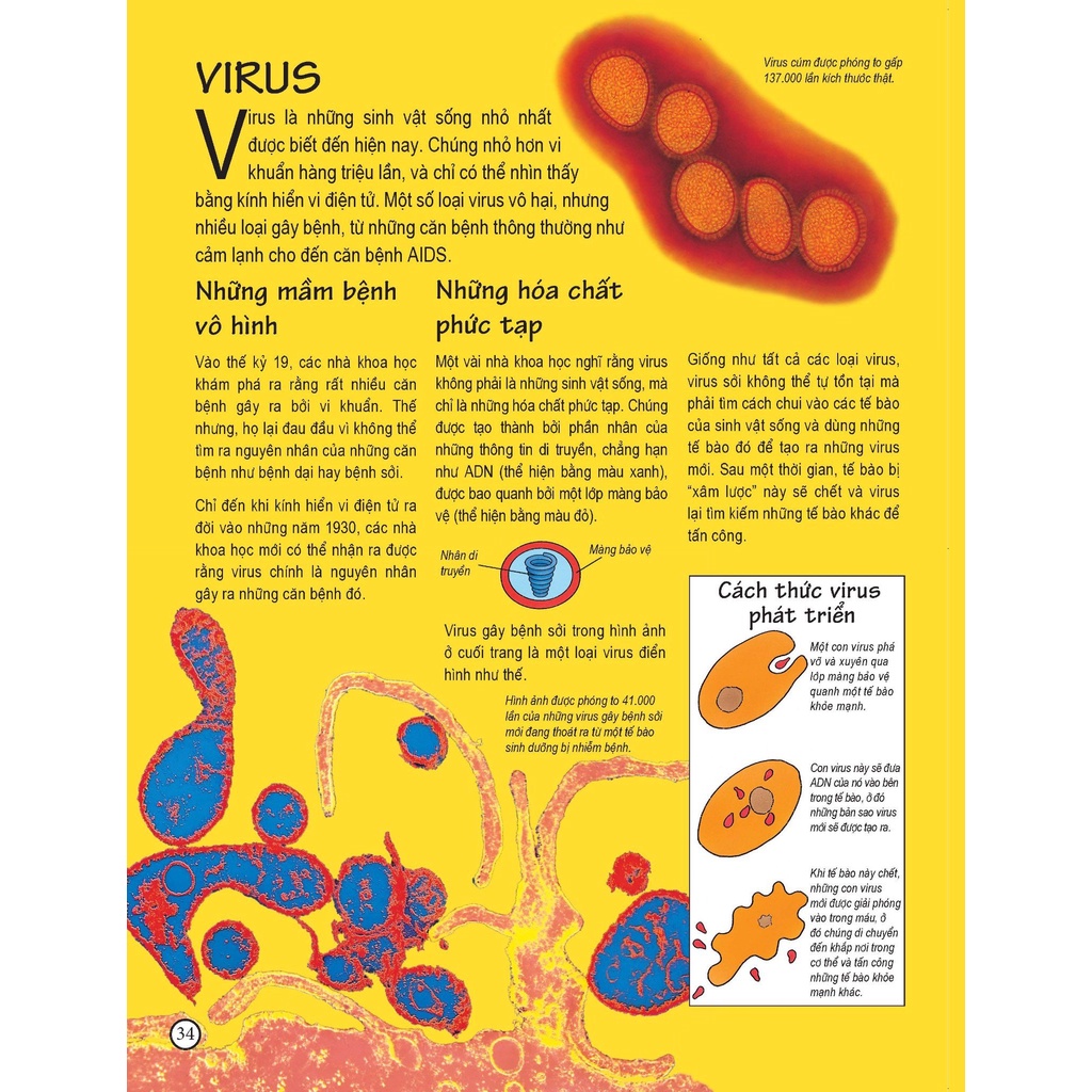 Sách - Complete Book of the Microscope - Thế giới qua lăng kính hiển vi (Usborne)