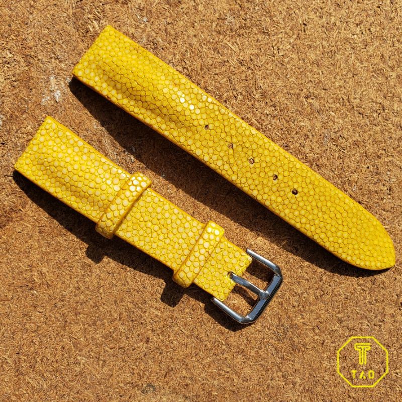 Dây đồng hồ da cá đuối