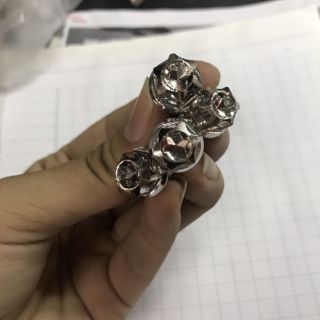 Ốc đĩa bông mai