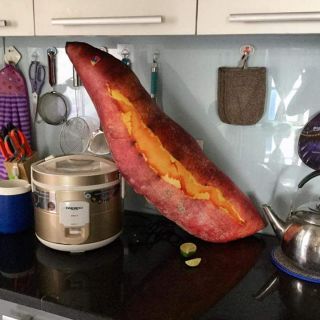 Gối ôm 3d khoai lang 85cm