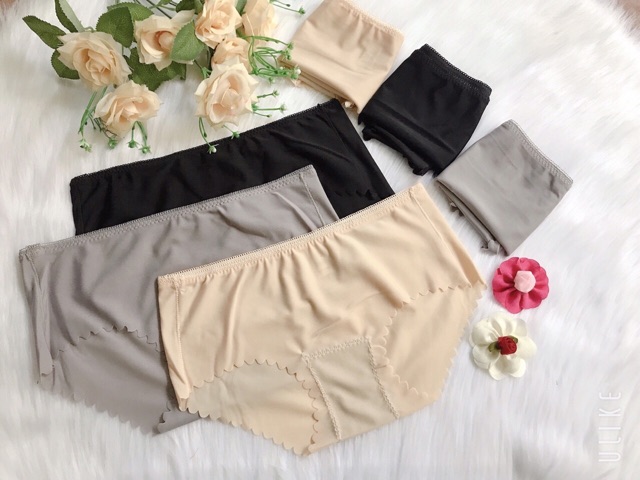 Quần lót su đúc set 10 quần