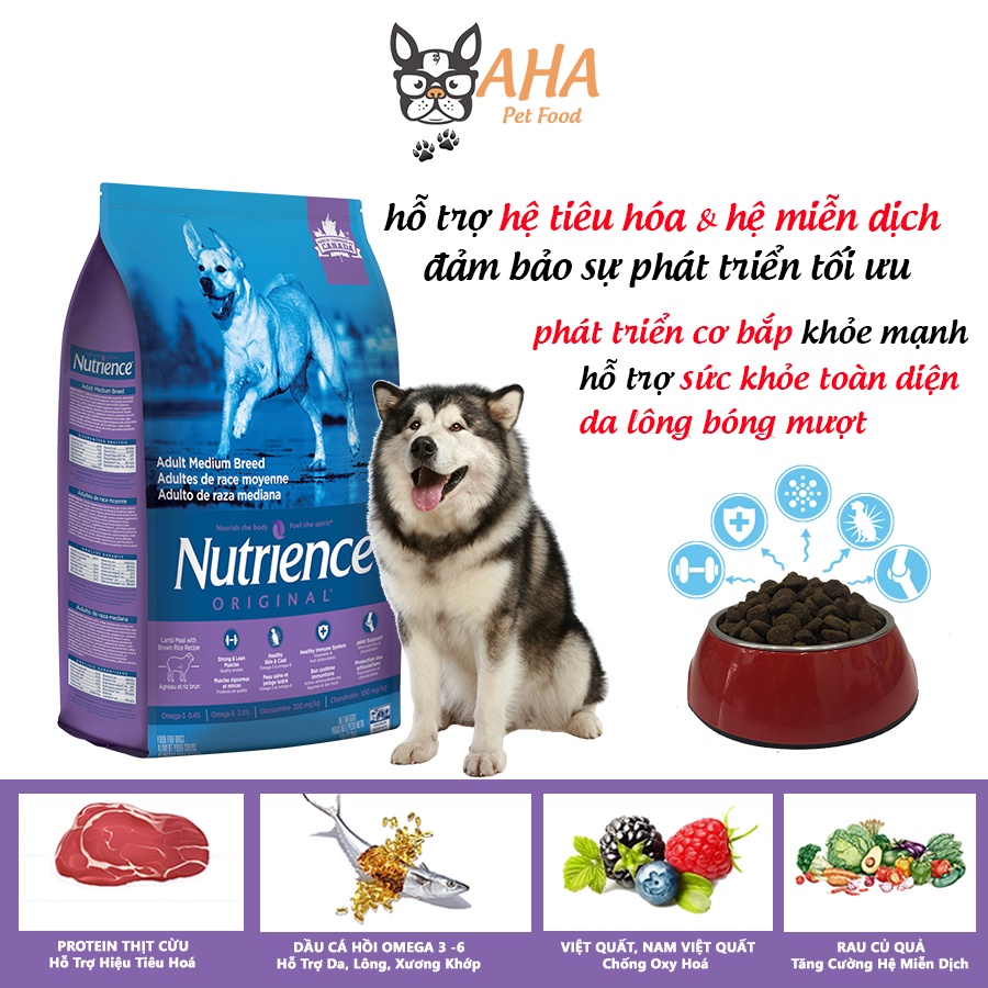 Thức Ăn Cho Chó Alaska Bao 5kg Nutrience Origina - Phát Triển Cơ Bắp - Thịt Cừu, Rau Củ & Trái Cây Tự Nhiên