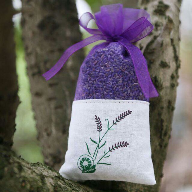 Túi thơm quần áoFREESHIPTúi Thơm Nụ Hoa Lavender Khô - Túi thơm để tủ quần áo
