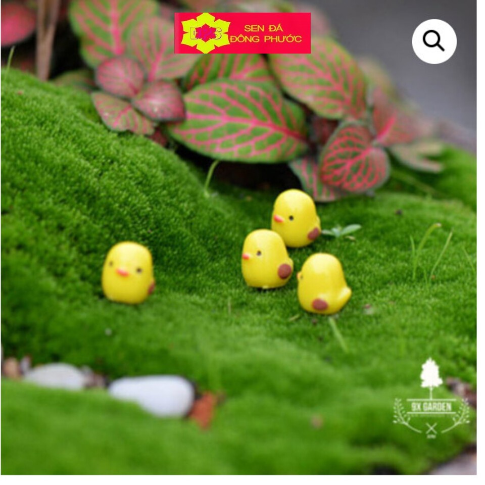 Gà con hai màu vàng trắng - Phụ kiện làm tiểu cảnh sen đá, xương rồng, cây phong thuỷ, văn phòng đẹp