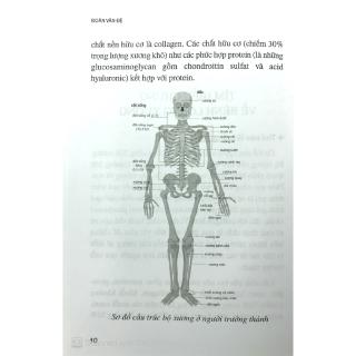 Phòng Và Chữa Bệnh Loãng Xương