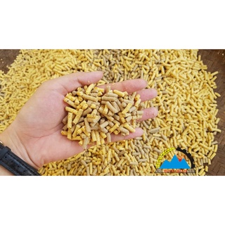 Cám thức ăn cho gà hoặc dùng làm mồi câu cá (0,5kg)