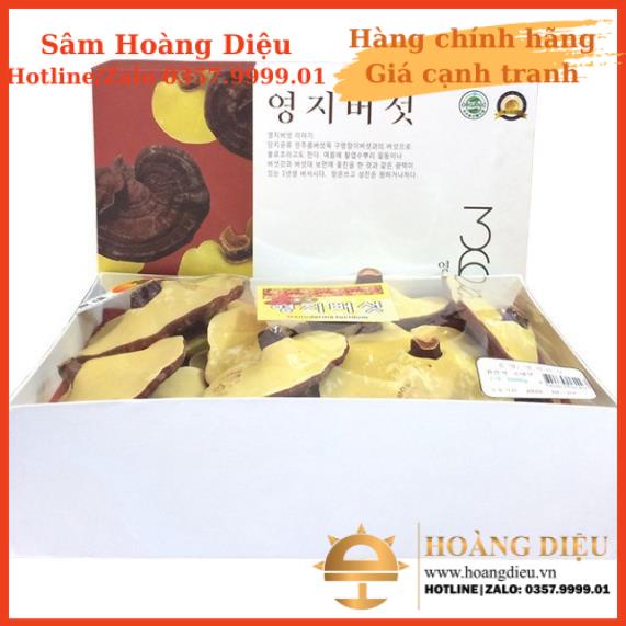 SÂM HOÀNG DIỆU - Nấm linh chi vàng 365 Hàn Quốc hộp 1kg