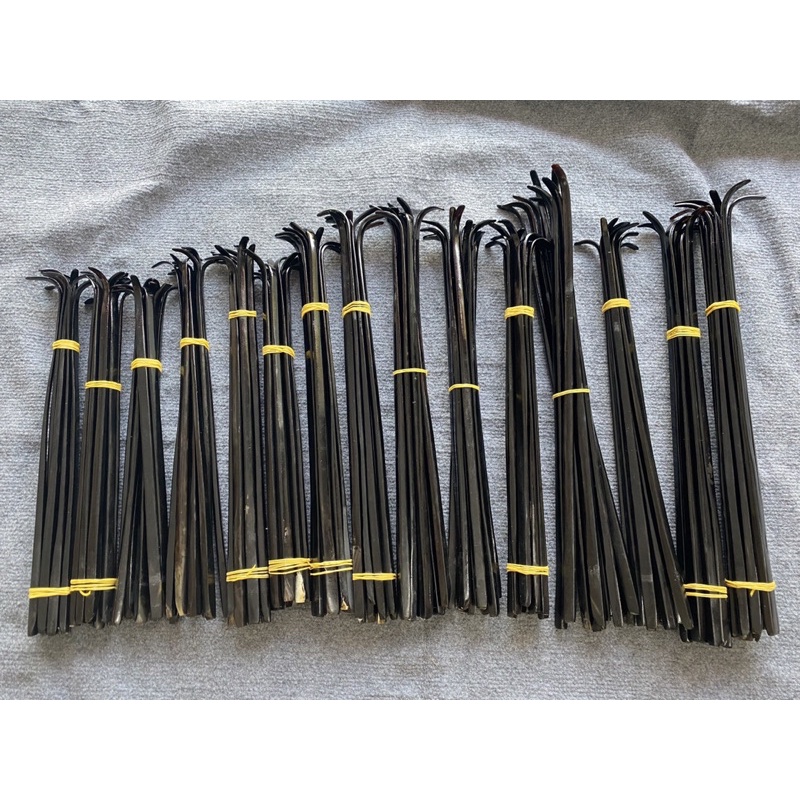 Cần đàn bầu sừng trâu