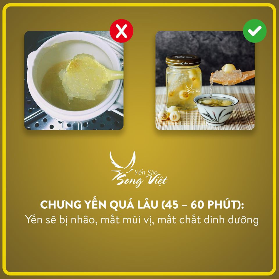 Yến Sào Song Việt - Yến chưng tươi  gói 7 ngày