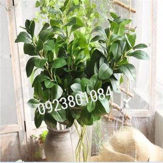 Cành Lá Chè Singapore Giống Thật cao 65cm -Cành cây giả