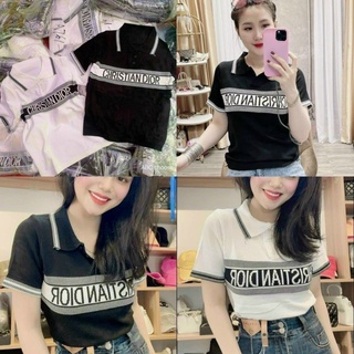 ÁO LEN CỔ BẺ POLO NỮ