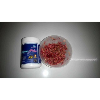 Vitamin cá AQUA PLUS CZ13 - VITAMIN CHO RỒNG, HỔ, SAM và cá cảnh khác (Hàng Công Ty)