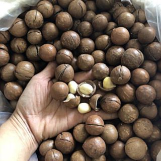 Hạt Macca Úc nứt vỏ tự nhiên