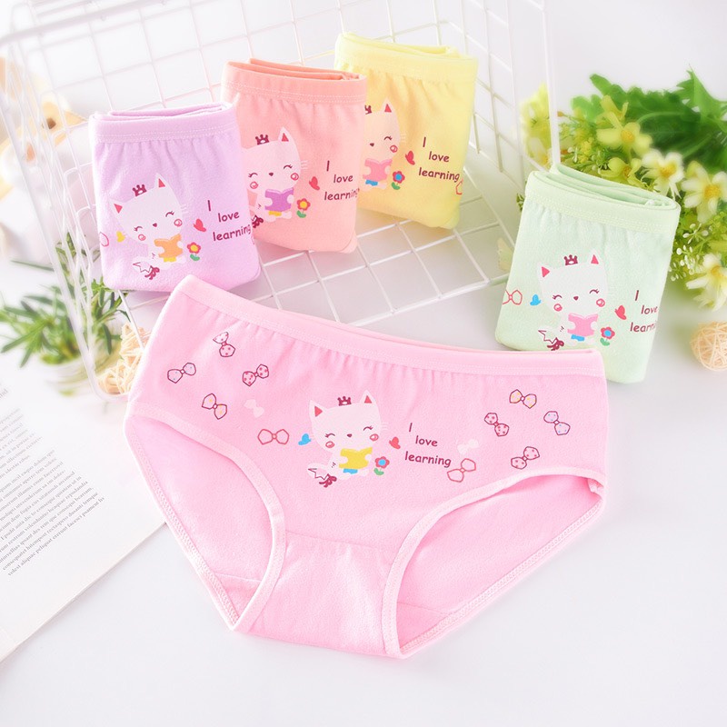 Combo 4 Quần Chip đùi hoặc tam giác mẫu mèo kitty dễ thương cho bé gái từ 10kg đến 40kg